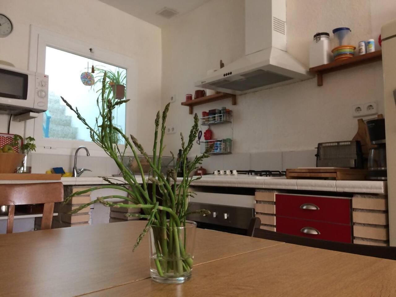 Casa Taller Penelles Penellas Kültér fotó